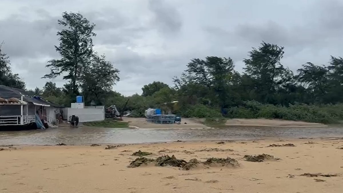 Dead Fish and Water Plants Wash Ashore on Cavelossim-Mobor Beach, Sarpanch Urges Government Action