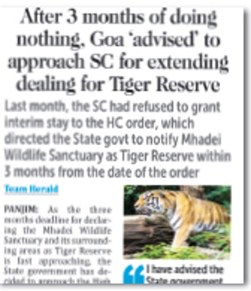 Deadline over, but Tiger Reserve still a dream 1 Deadline over, but Tiger Reserve still a dream