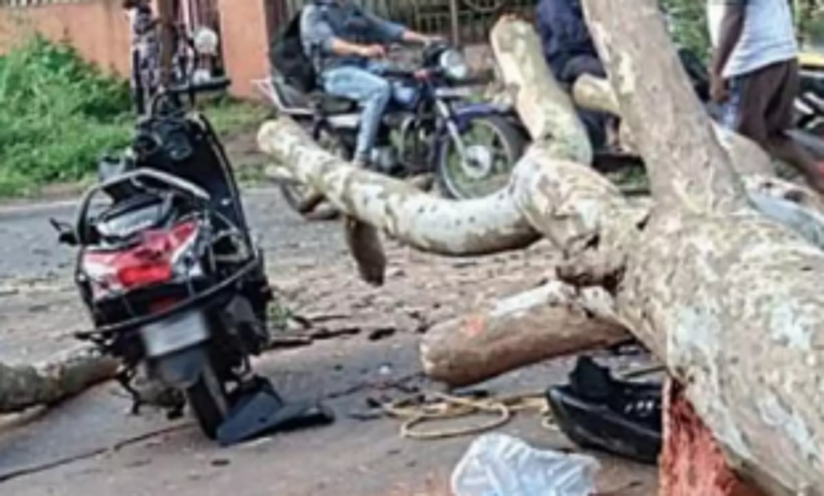 Death by negligence: NCP demands arrest