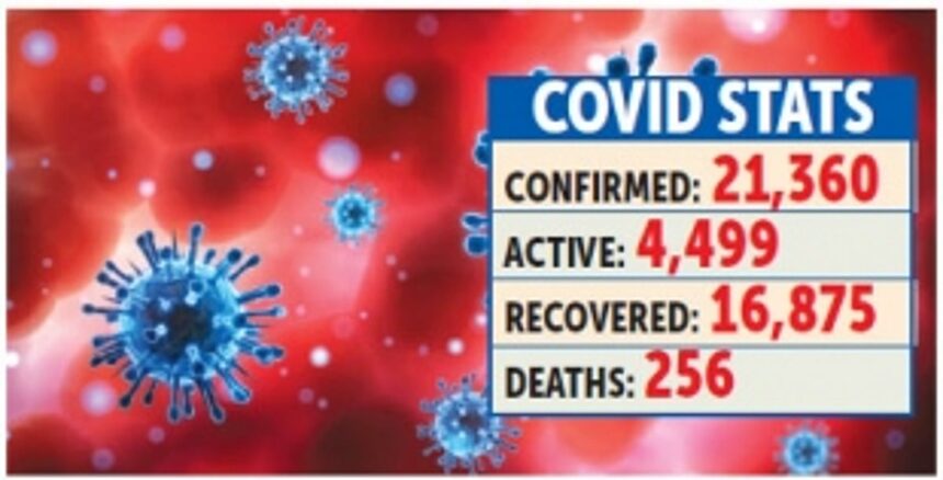 Death toll crosses 250, active COVID cases near 4,500 figure