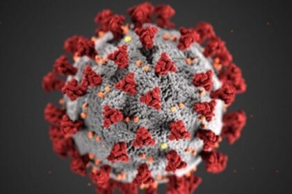 Death toll rises; new cases see a spurt