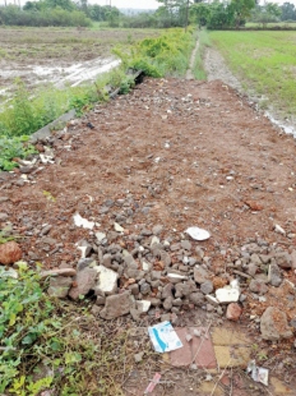 Debris dumped to construct illegal road in Sangolda
