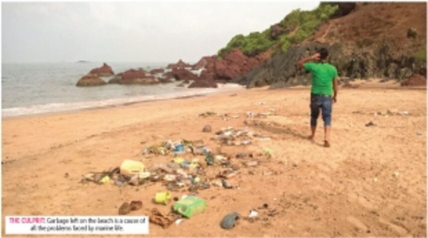 Debris ridden sea swallows precious marine life in Goa