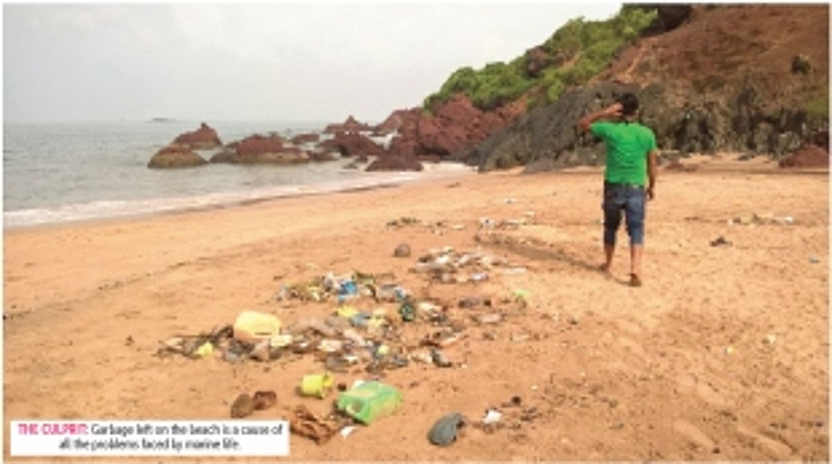 Debris ridden sea swallows precious marine life in Goa
