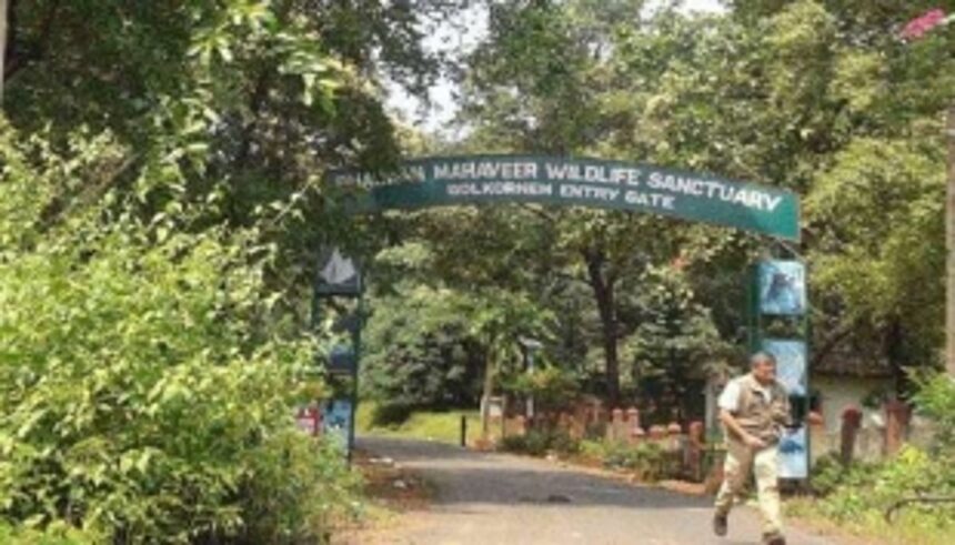 Decades after being notified as protected areas, Bondla, Mhadei, Mollem to now have Wildlife Management Plans 1 Decades after being notified as protected areas, Bondla, Mhadei, Mollem to now have Wildlife Management Plans