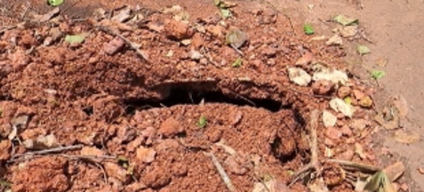 Decades-old bridge in Tuem on the verge of collapse, poses threat to commuters