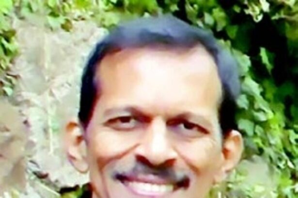 Decision making  in democracy