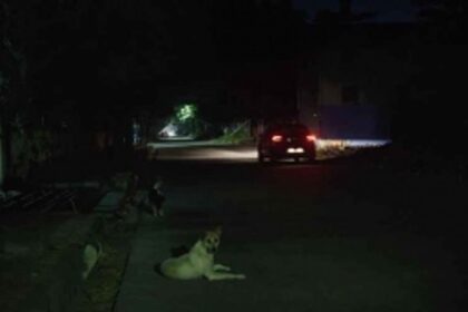 Defunct streetlights plunge Bethora, Shiroda roads into darkness