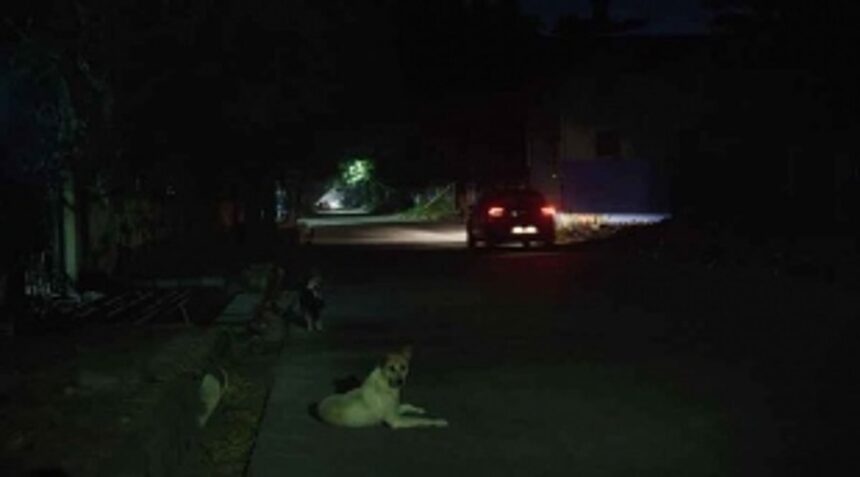 Defunct streetlights plunge Bethora, Shiroda roads into darkness