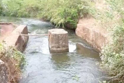 Delay in repairing sluice gate, Pilgao farmers suffer losses
