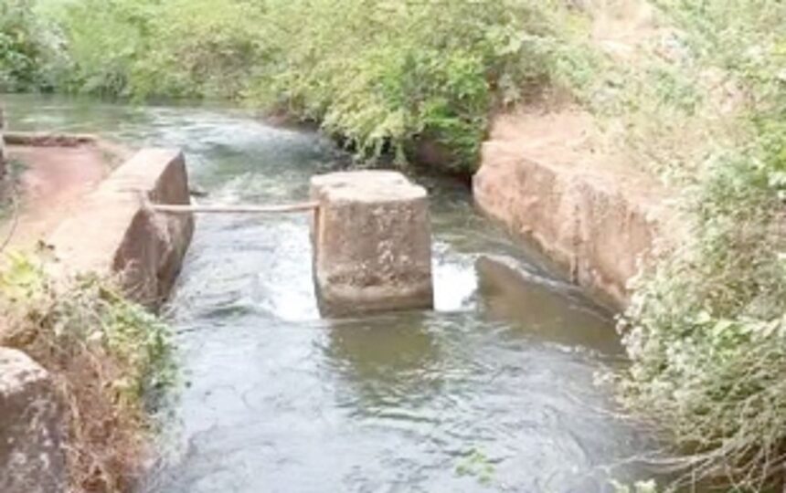 Delay in repairing sluice gate, Pilgao farmers suffer losses 1 Delay in repairing sluice gate, Pilgao farmers suffer losses