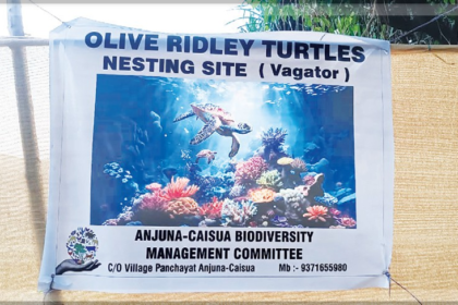 Delays in Declaring Vagator’s Dream Beach as Turtle Nesting Ground Raise Concerns