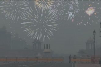 Delhi BJP Vice Pres Applauds Firecracker Bursting as 'Voices of Resistance' on Diwali