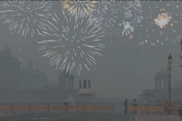 Delhi BJP Vice Pres Applauds Firecracker Bursting as 'Voices of Resistance' on Diwali