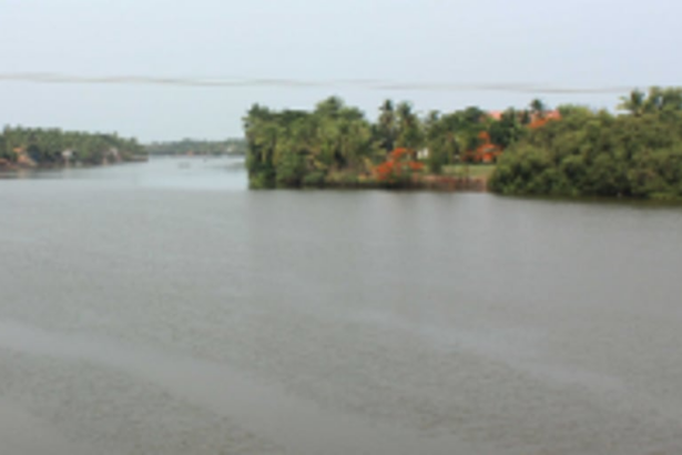 Delhi Jal Board consultant inspects blackened River Sal, claims ‘de-centralised treatment’ could help clean river in 90 days