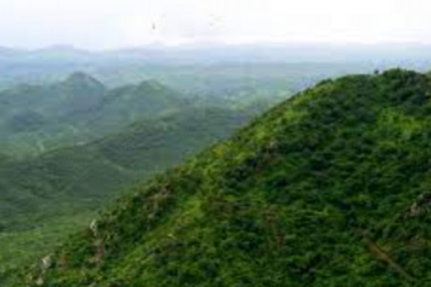 Delta Corp told to conduct EIA  of Dhargalim township project