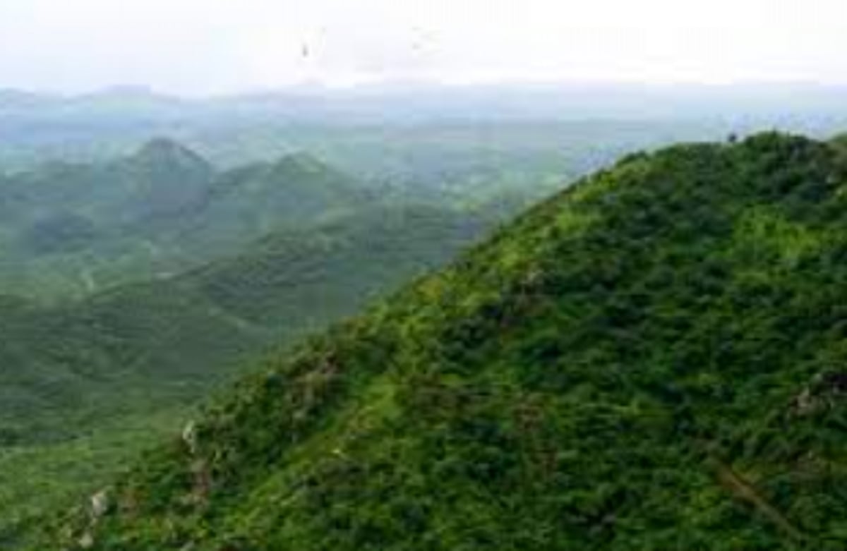 Delta Corp told to conduct EIA  of Dhargalim township project