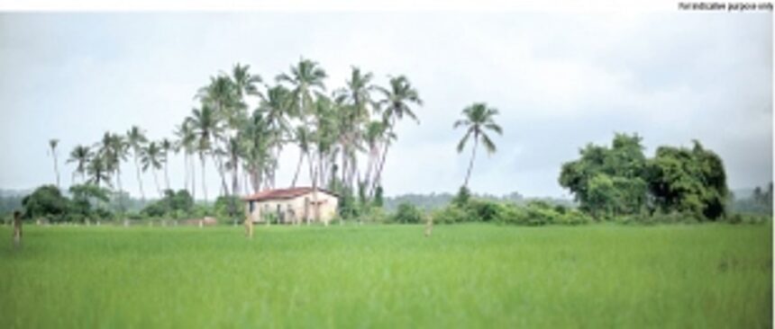 Demand to protect Goa’s greenery