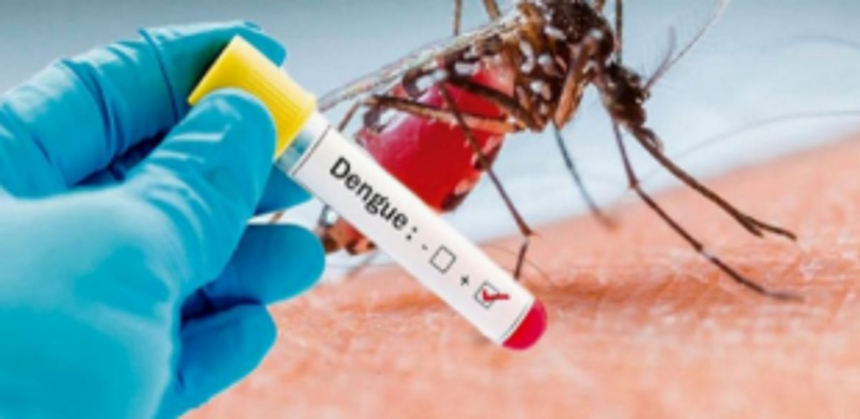 Dengue cases: Govt directs DHS to  act against Health Act violators