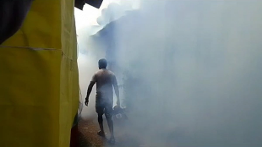 Dengue cases on the rise in the Port Town