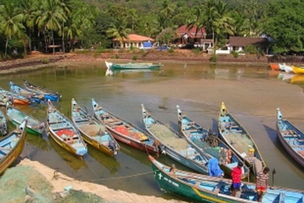 Department to carry out unannounced inspections of fishing vessels carrying LED lights: Fisheries Minister Nilkanth Halarnkar