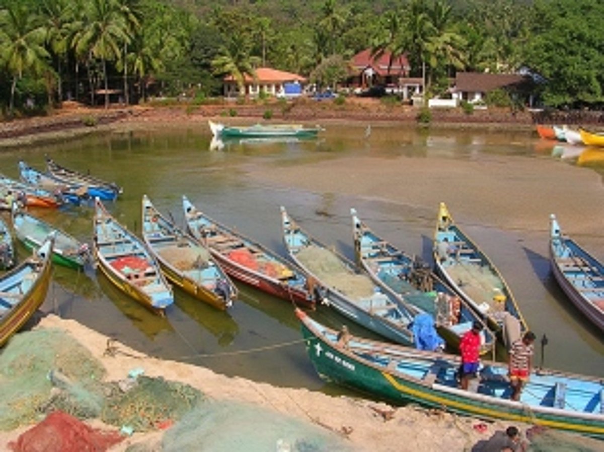 Department to carry out unannounced inspections of fishing vessels carrying LED lights: Fisheries Minister Nilkanth Halarnkar