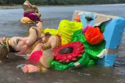 Despite Ban, POP Ganesh Idols Found at Immersion Sites in Goa; Clay Idols Dissolve Naturally