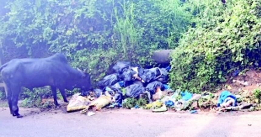 Despite having a proper system in place, Cuncolim still faces garbage menace