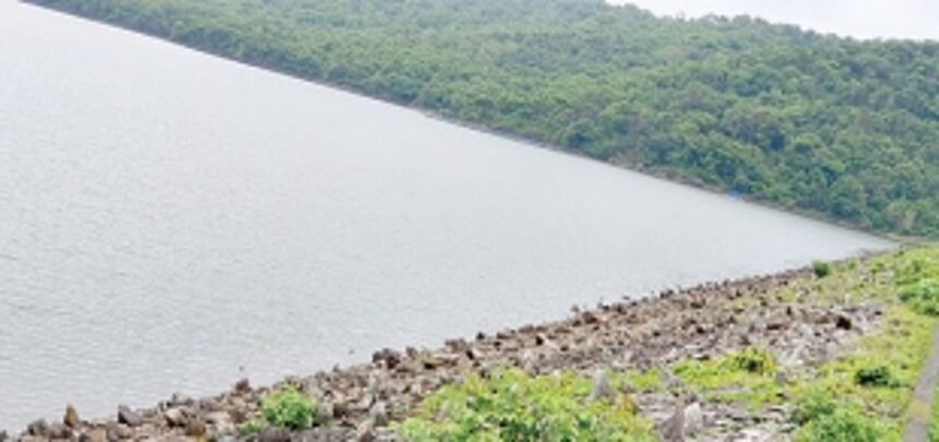 Despite heavy rains, Chapoli dam isn’t a bit closer to its maximum capacity 1 Despite heavy rains, Chapoli dam isn’t a bit closer to its maximum capacity