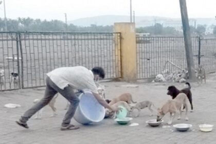 Despite lockdown, Netravali youth continues feeding stray dogs