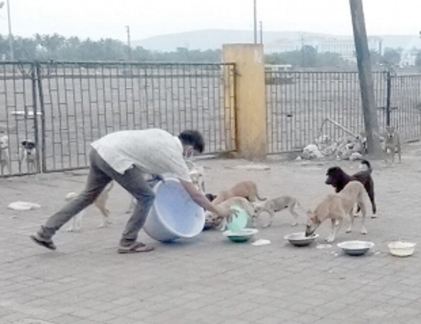 Despite lockdown, Netravali youth continues feeding stray dogs