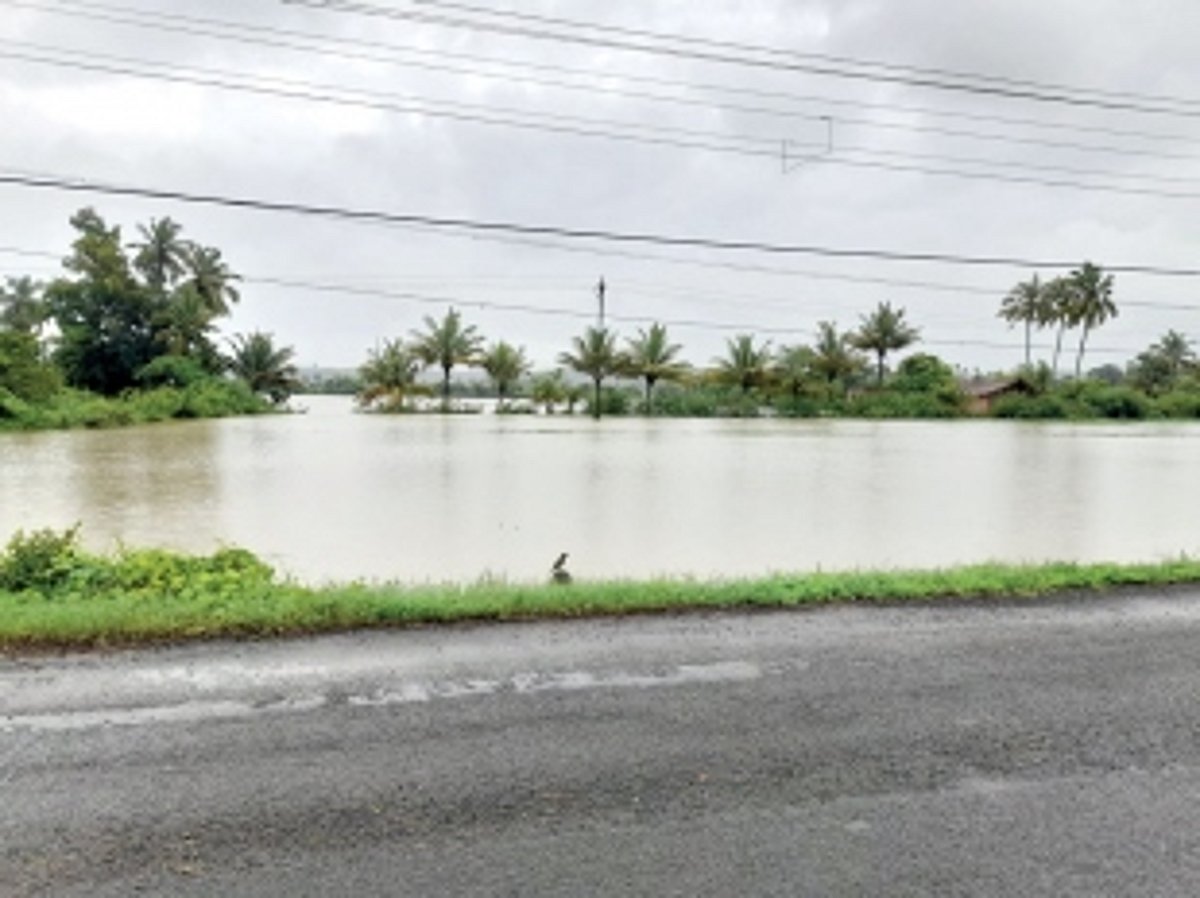 Development at what cost at Sangolda?