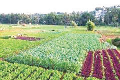 Development versus farmers