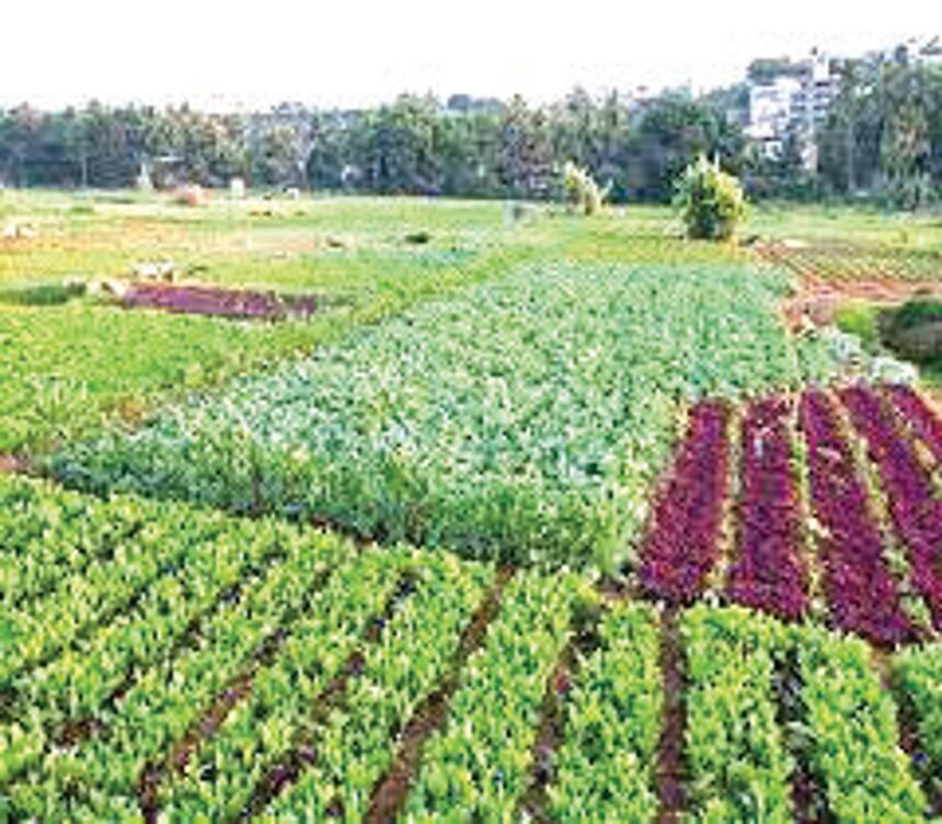 Development versus farmers