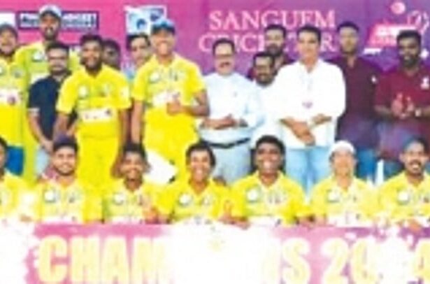 Dhadsakal Stars emerge champions in Goyanchi League T-20