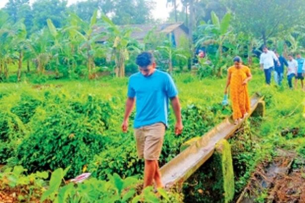 Dhangarwadi disconnected from  Hankhane-Ibrampur for 45 years!