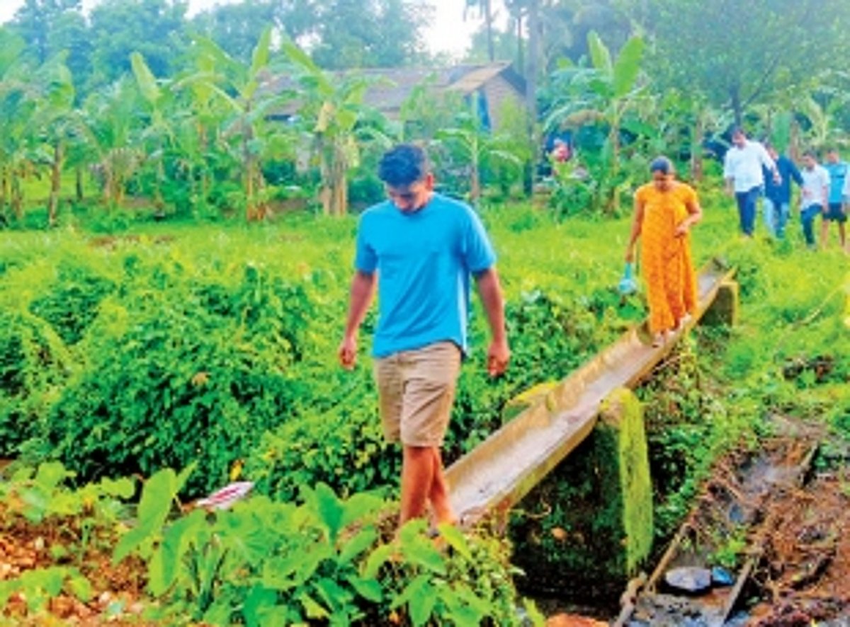 Dhangarwadi disconnected from  Hankhane-Ibrampur for 45 years!