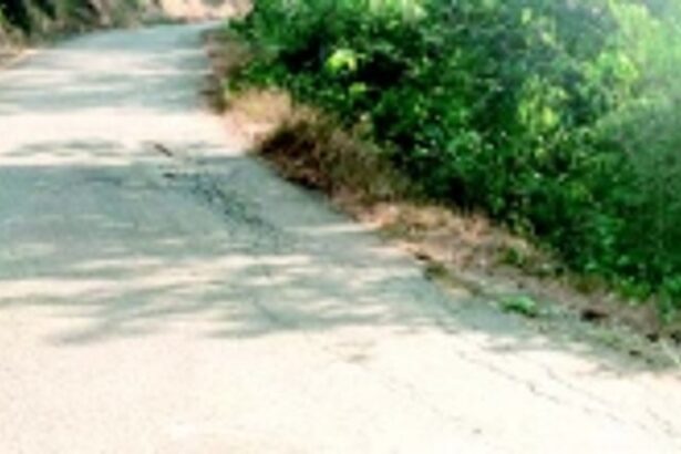 Dharbandora’s Davkon village to get a new road on an urgent basis