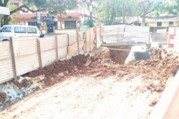 Dhavlim farmers wail as crops wilt; perennial springs in Ponda run dry, thanks to indiscriminate digging