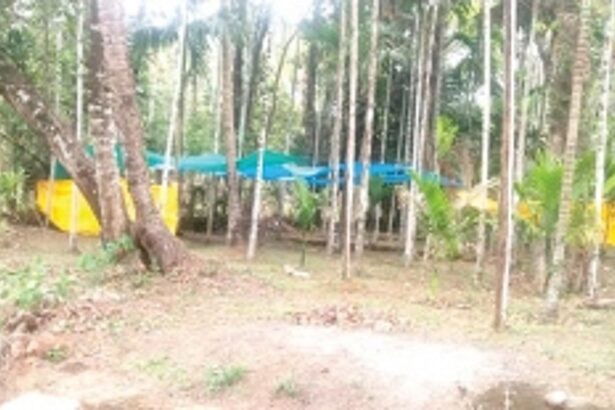 Dhonds begin fasting ahead of Lairai Devi’s zatra commencing from April 24