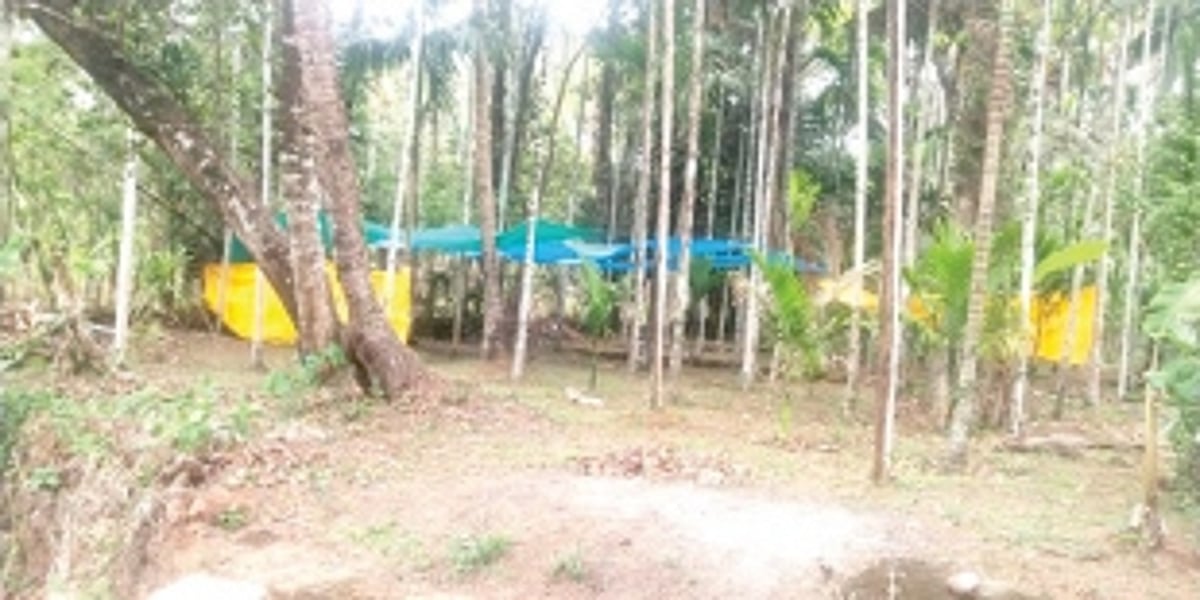 Dhonds begin fasting ahead of Lairai Devi’s zatra commencing from April 24