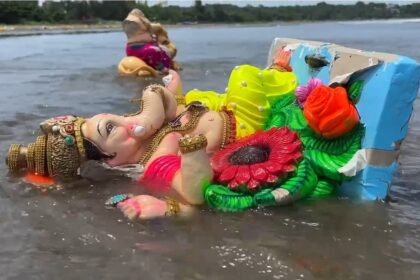 Did the Government machinery fail to control sale of Plaster of Paris Ganesh idols in the State?