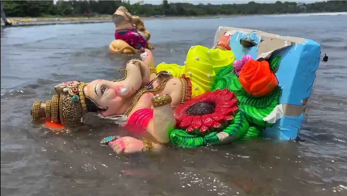Did the Government machinery fail to control sale of Plaster of Paris Ganesh idols in the State?