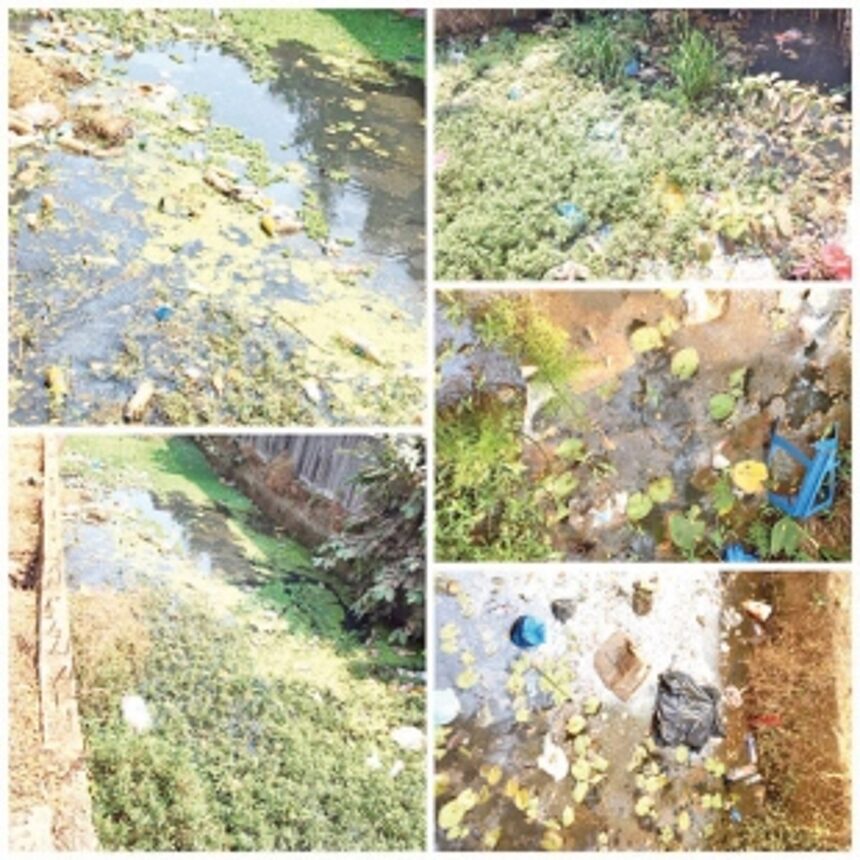 Did we elect wrong person at right place?