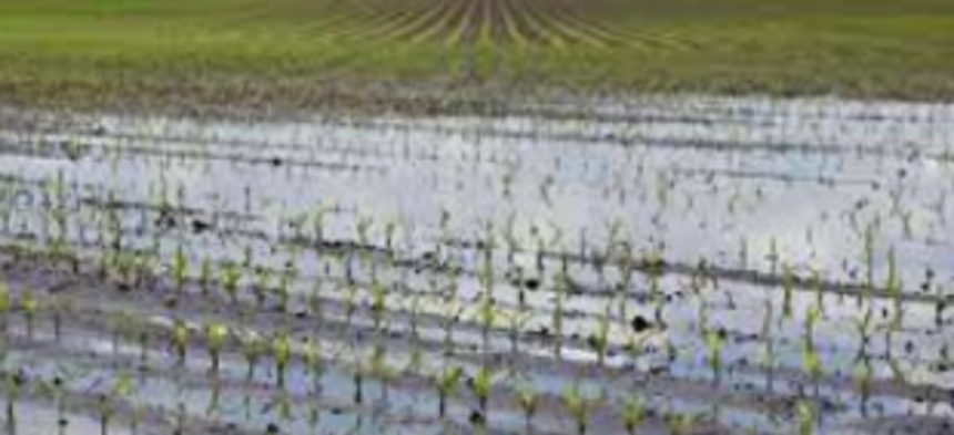 Digital methods to assess farmers’ losses in floods