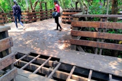 Dilapidated condition of Mangrove Boardwalk raises concern among Panjim residents