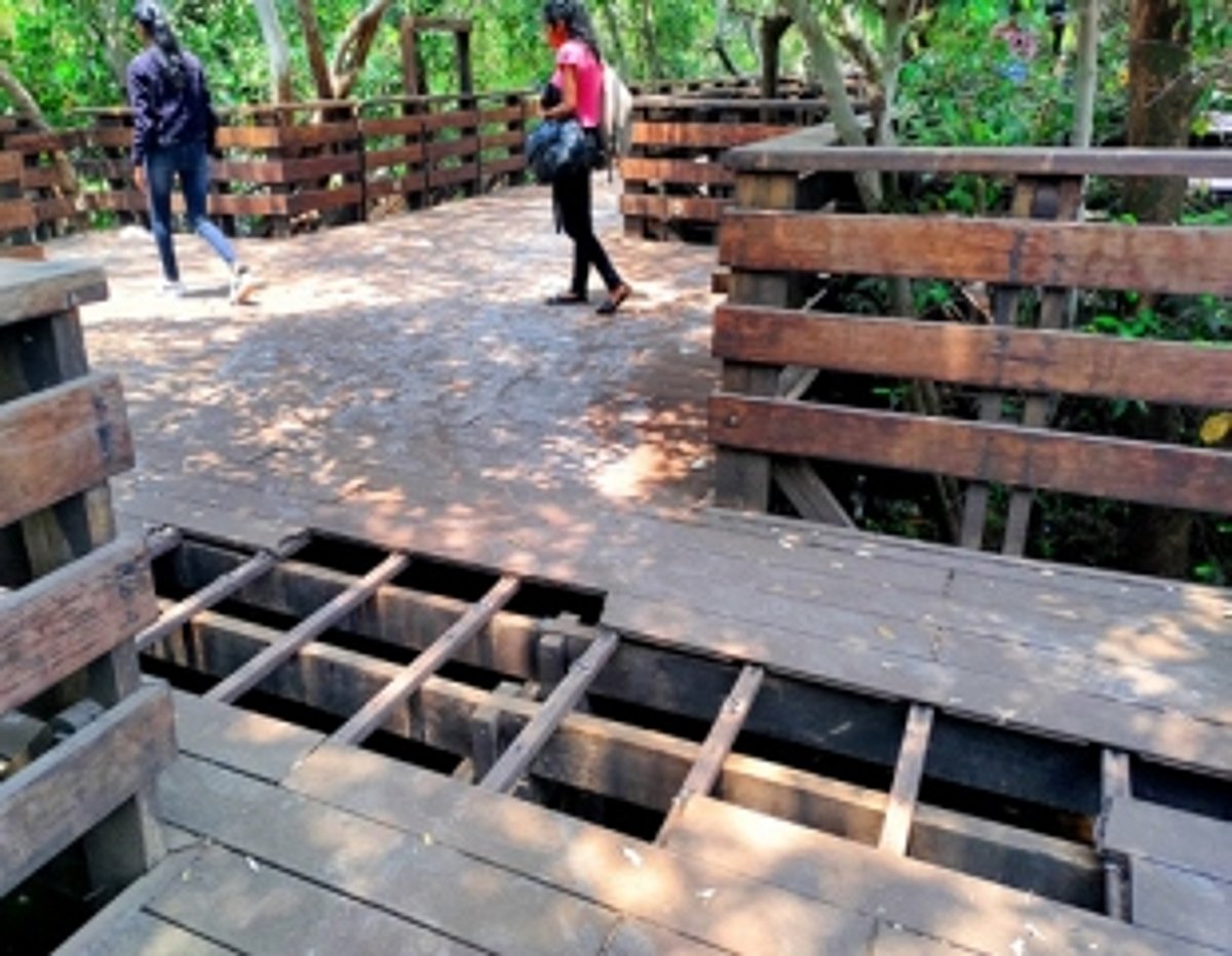 Dilapidated condition of Mangrove Boardwalk raises concern among Panjim residents