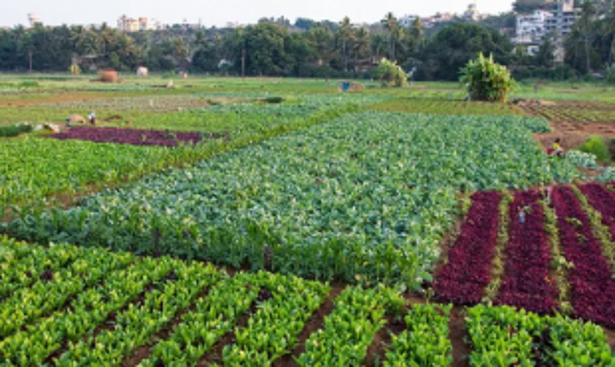 Directorate of Agriculture to promote Natural Farming