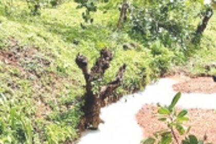 Discharge of chemical waste into  Pissurlem nullah worries locals