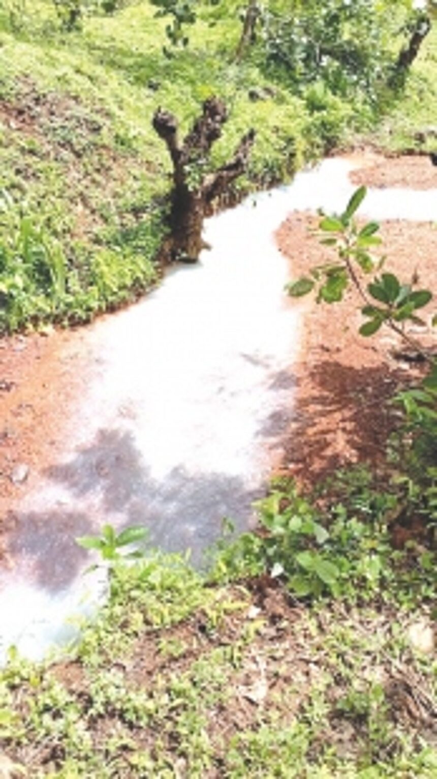 Discharge of chemical waste into Pissurlem nullah worries locals 1 Discharge of chemical waste into Pissurlem nullah worries locals